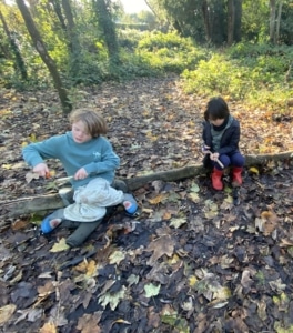 Year 4 and Year 6 pupils enjoying Forest School