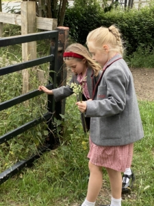 Heritage Infants and Juniors go on Nature Walks in the Summer Term