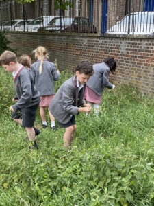 Heritage Infants and Juniors go on Nature Walks in the Summer Term