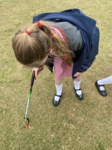 Heritage Infants and Juniors go on Nature Walks in the Summer Term