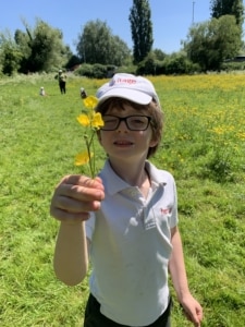 Heritage Infants and Juniors go on Nature Walks in the Summer Term