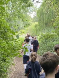Heritage Infants and Juniors go on Nature Walks in the Summer Term