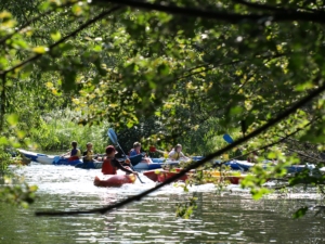 Heritage Year 5 and 6 pupils enjoyed camp in Norfolk