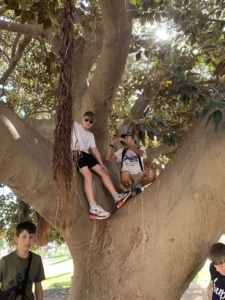 Heritage Seniors spend a few days in Aguilas, improving their language and enjoying Spanish culture