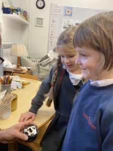Upper Prep learn about bees from Mr Bayley