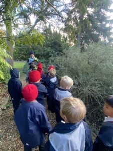 Upper Prep  enjoyed a visit to the Cambridge University Botanic Gardens