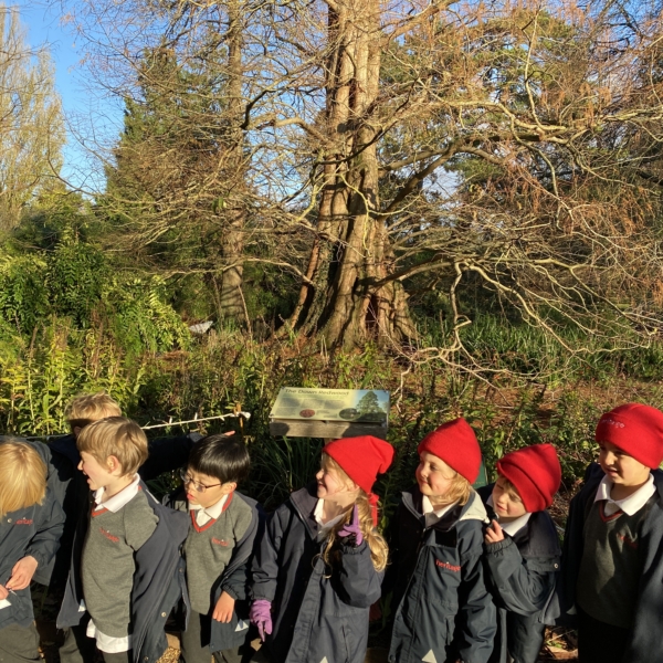Upper Prep  enjoyed a visit to the Cambridge University Botanic Gardens