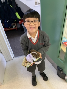 Heritage Upper Prep pupils carefully crafted hedgehogs from paper