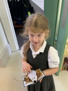 Heritage Upper Prep pupils carefully crafted hedgehogs from paper