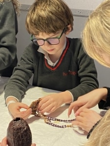 Upper Prep pupils examining artefacts and engaging in enquiry-based learning during a visit to the Museum of Archaeology and Anthropology.