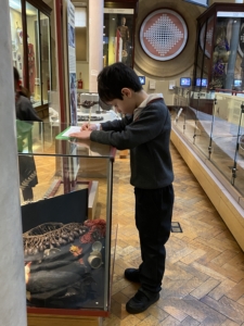 Upper Prep pupils examining artefacts and engaging in enquiry-based learning during a visit to the Museum of Archaeology and Anthropology.