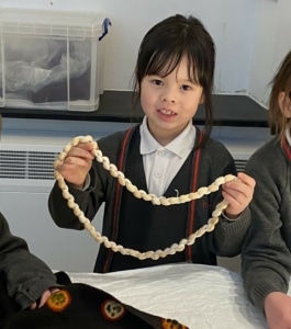 Upper Prep pupils examining artefacts and engaging in enquiry-based learning during a visit to the Museum of Archaeology and Anthropology.