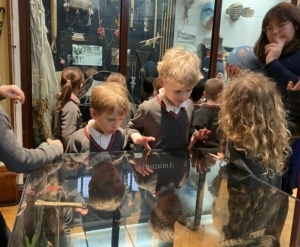 Upper Prep pupils examining artefacts and engaging in enquiry-based learning during a visit to the Museum of Archaeology and Anthropology.