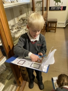 Upper Prep pupils exploring fossils and geological specimens at the Sedgwick Museum of Earth Sciences.