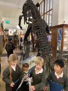 Upper Prep pupils exploring fossils and geological specimens at the Sedgwick Museum of Earth Sciences.