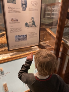 Upper Prep pupils exploring fossils and geological specimens at the Sedgwick Museum of Earth Sciences.