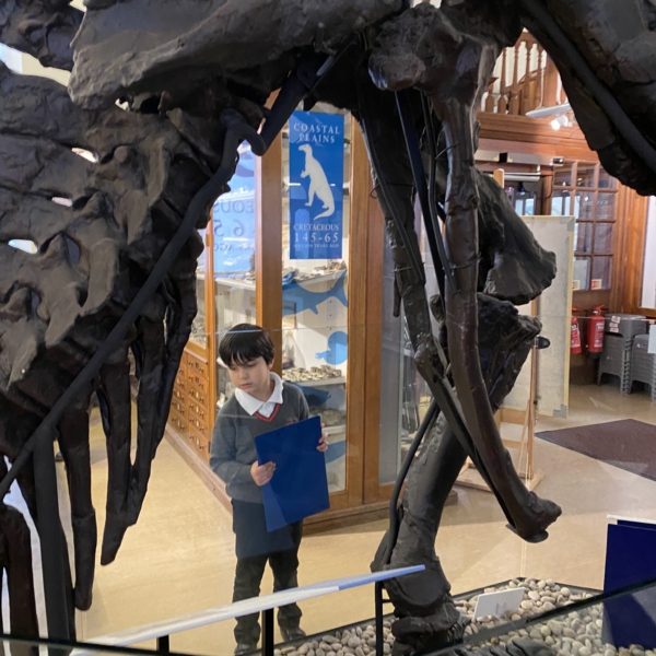 Upper Prep pupils exploring fossils and geological specimens at the Sedgwick Museum of Earth Sciences.