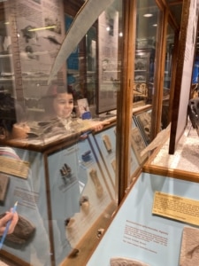 Upper Prep pupils exploring fossils and geological specimens at the Sedgwick Museum of Earth Sciences.