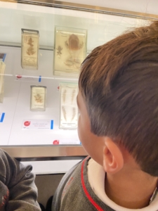 Heritage Year 2 pupils visited the University Museum of Zoology