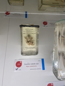 Heritage Year 2 pupils visited the University Museum of Zoology