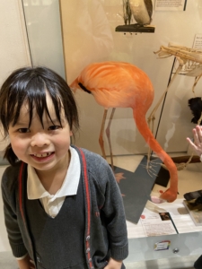 Heritage Year 2 pupils visited the University Museum of Zoology