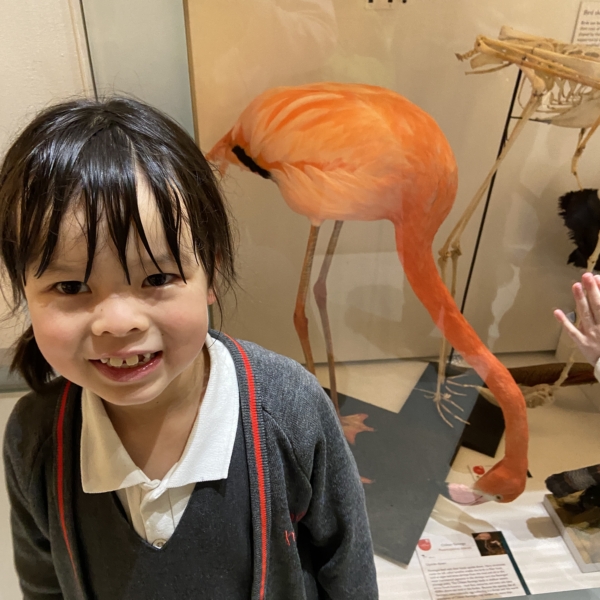 Heritage Year 2 pupils visited the University Museum of Zoology