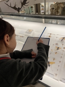 Heritage Year 2 pupils visited the University Museum of Zoology