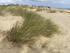 Heritage Year 11 Geography pupils doing coastal fieldwork