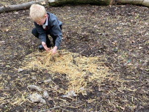 Heritage Y2 pupils are enjoying Forest School