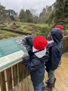 Heritage Y3 pupils enjoyed an afternoon at the Botanic Gardens