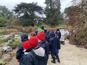 Heritage Y3 pupils enjoyed an afternoon at the Botanic Gardens