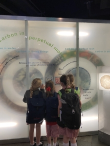Heritage Year 3 pupils went to the Natural History Museum in London