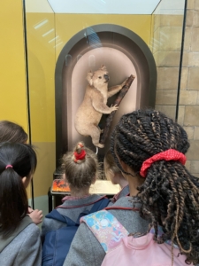 Heritage Year 3 pupils went to the Natural History Museum in London