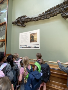 Heritage Year 3 pupils went to the Natural History Museum in London