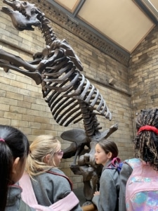 Heritage Year 3 pupils went to the Natural History Museum in London