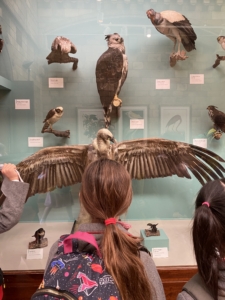 Heritage Year 3 pupils went to the Natural History Museum in London