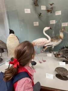 Heritage Year 3 pupils went to the Natural History Museum in London