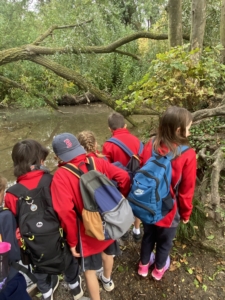 Heritage Year 4 pupils enjoyed an all-day autumn ramble