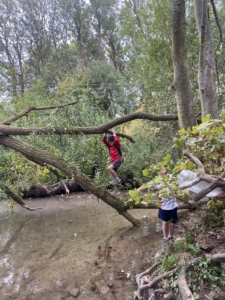 Heritage Year 4 pupils enjoyed an all-day autumn ramble
