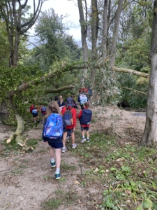 Heritage Year 4 pupils enjoyed an all-day autumn ramble