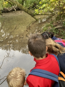 Heritage Year 4 pupils enjoyed an all-day autumn ramble