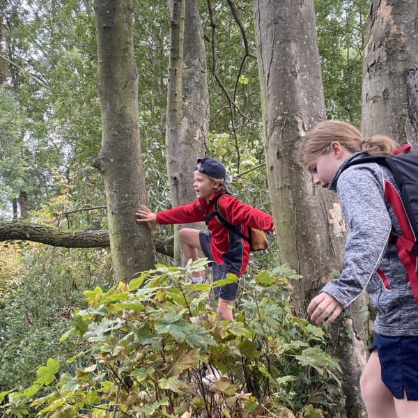 Heritage Year 4 pupils enjoyed an all-day autumn ramble