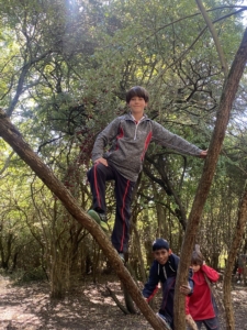 Heritage Year 6 pupils building dens at Anglesey Abbey