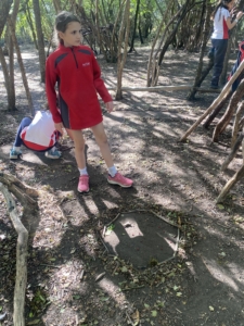 Heritage Year 6 pupils building dens at Anglesey Abbey