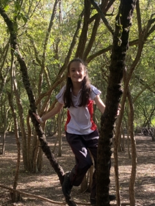 Heritage Year 6 pupils building dens at Anglesey Abbey