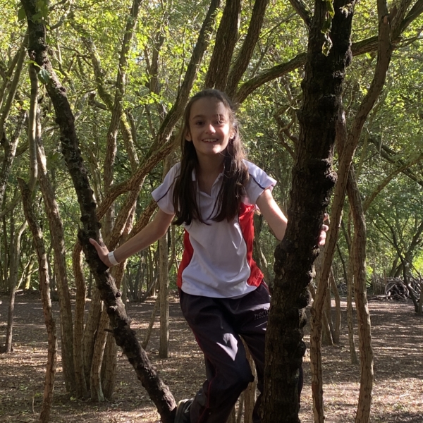 Heritage Year 6 pupils building dens at Anglesey Abbey
