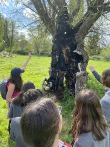 Heritage Year 7 Pupils explore the Cambridge area during Nature Walks