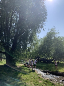 Heritage Year 7 Pupils explore the Cambridge area during Nature Walks