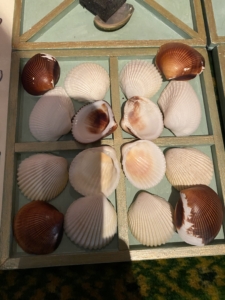 Heritage Year 7 Geography pupils explore the Whipple Museum