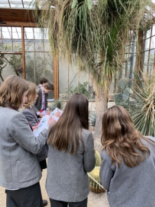 Year 8 and Year 9 pupils studying plant adaptations in the glasshouses at the Cambridge University Botanic Garden.